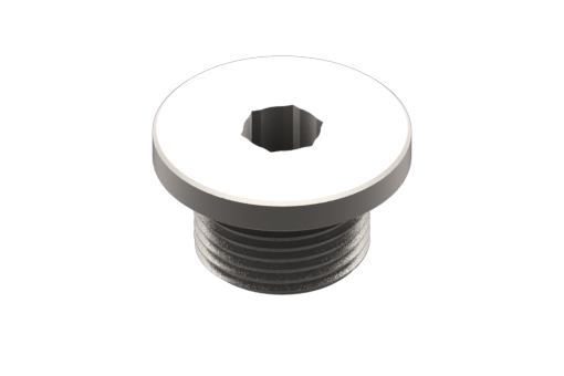 Bouchon, mâle G1/8, cylindrique hexagone (10 pièces) - RG.0301500001
